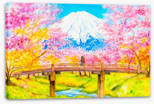 Cherry blossom love