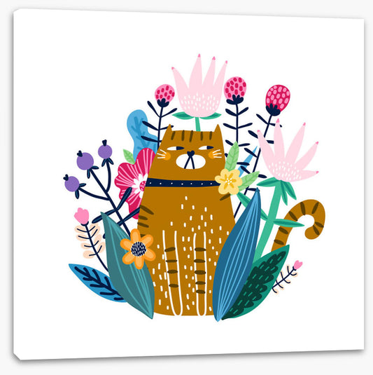 The garden cat