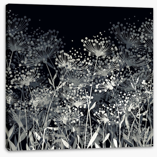 Black and White