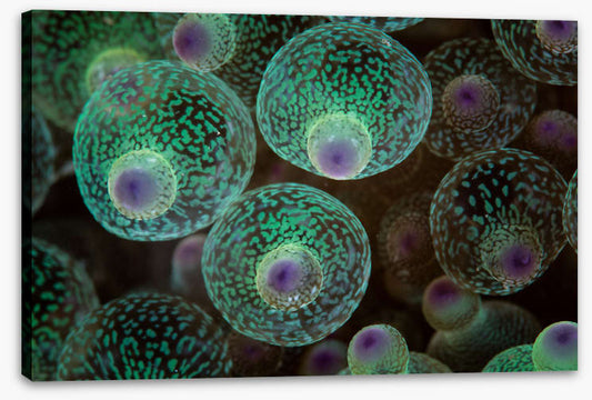 Underwater