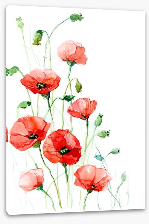 Climbing poppies