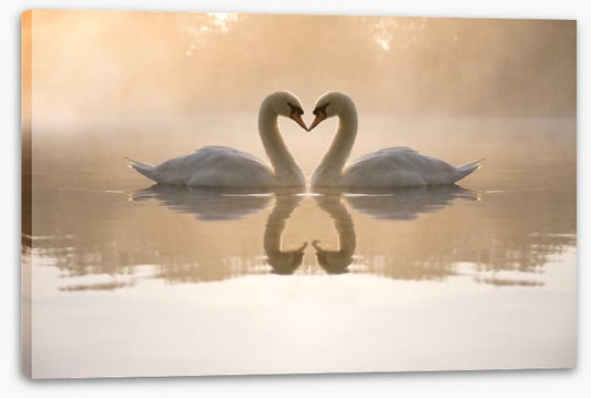 Dawning love
