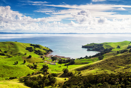 Pasture on the peninsula