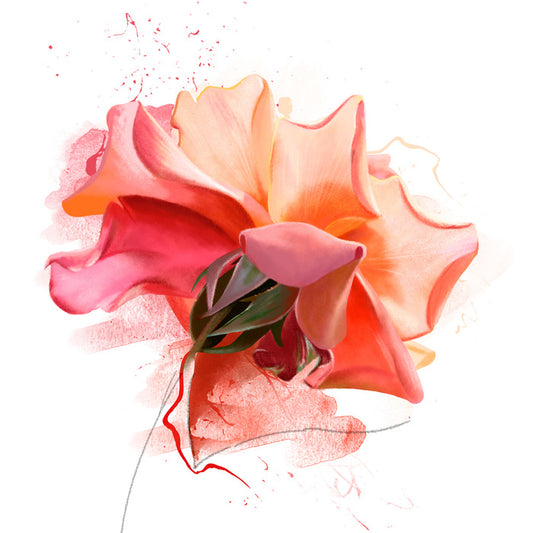 Feeling rosy III