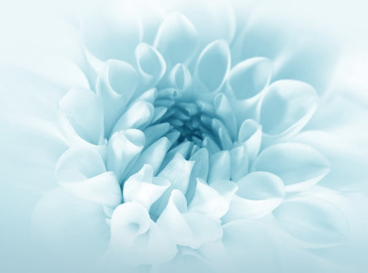 Soft bloom
