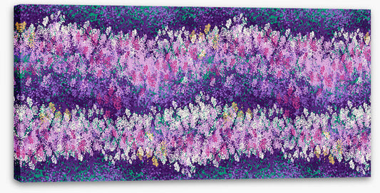 Lavender love
