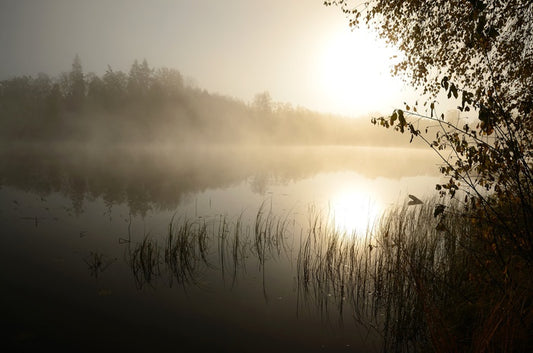 Lakes