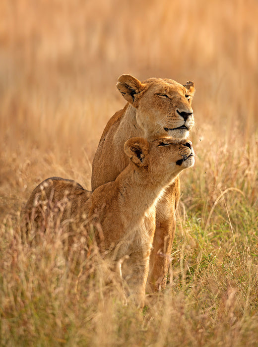 A moment with mum