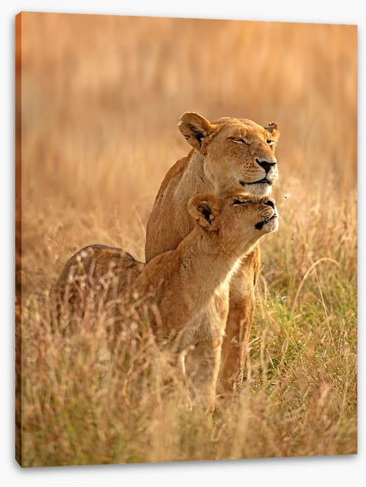 A moment with mum