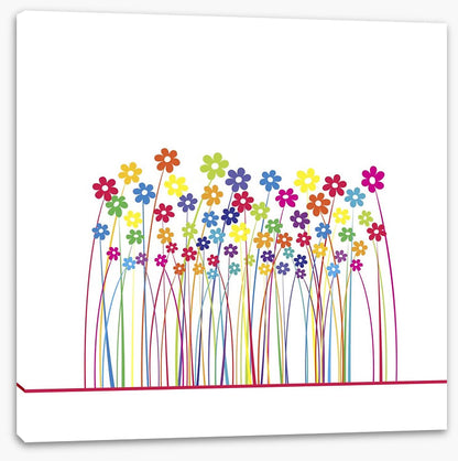 Rainbow flowers