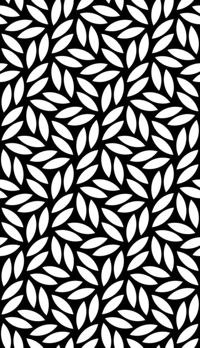 Black and White