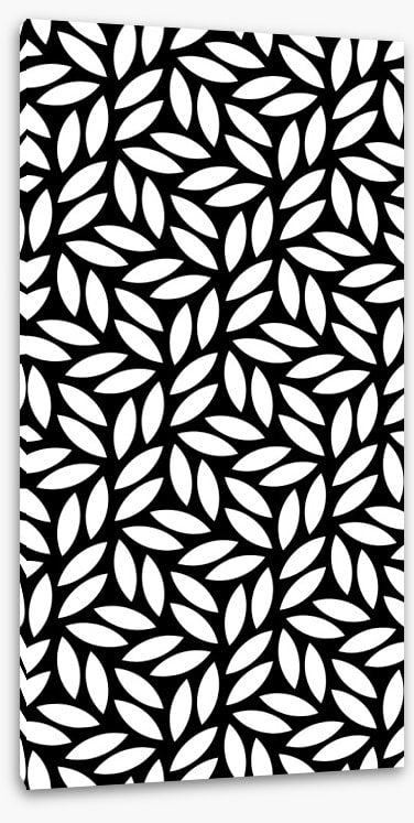 Black and White
