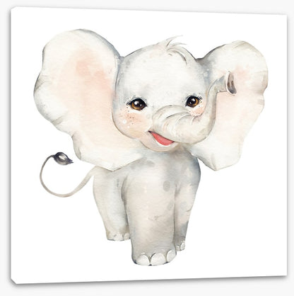 Elephant smiles