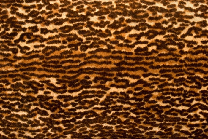 Animal Print