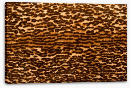 Animal Print