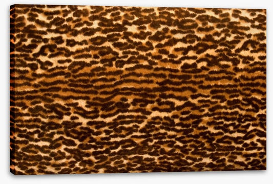 Animal Print