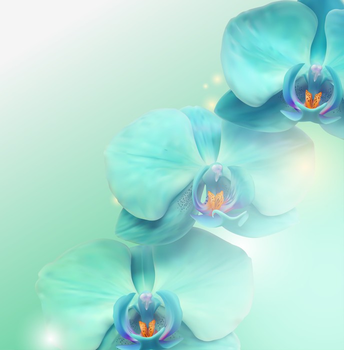 Orchid enlightenment