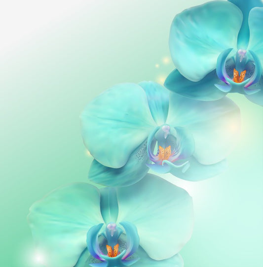 Orchid enlightenment