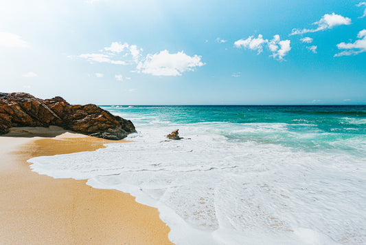 From sea to shore