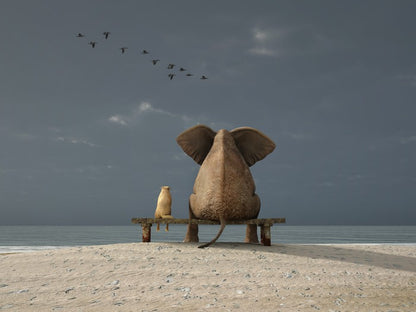 Together on the beach