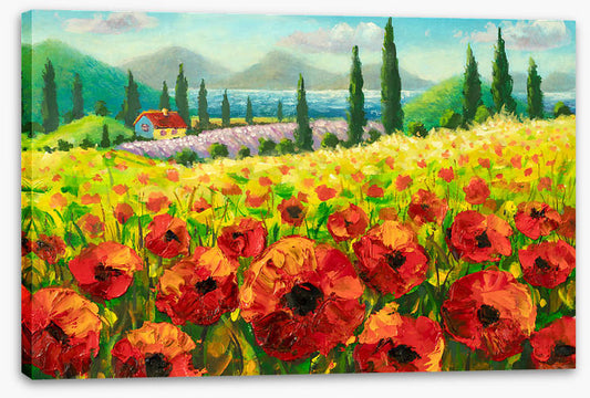 Beyond the poppies