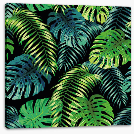 Fern a friend