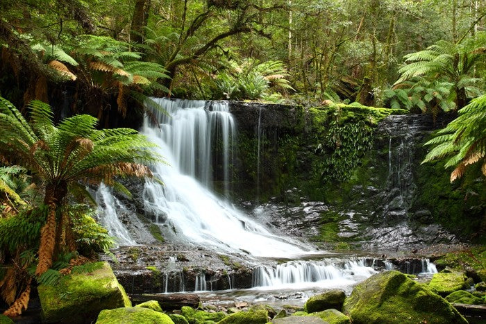 Beautiful Russell Falls
