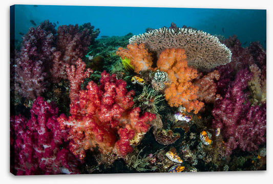 Underwater