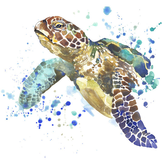 Turtle tidings