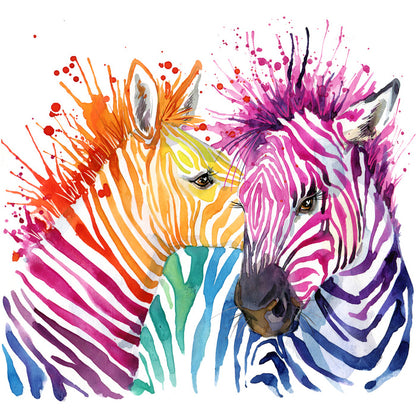 Zebra splash