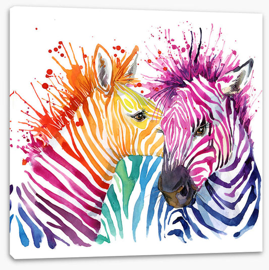 Zebra splash