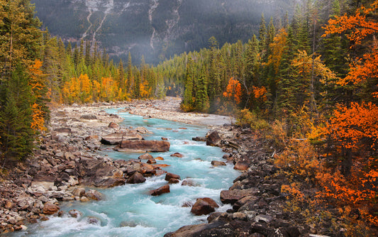 Rivers