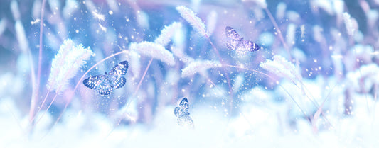 Butterfly snow panorama