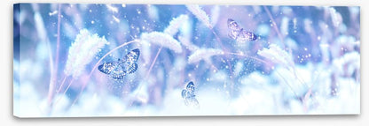 Butterfly snow panorama