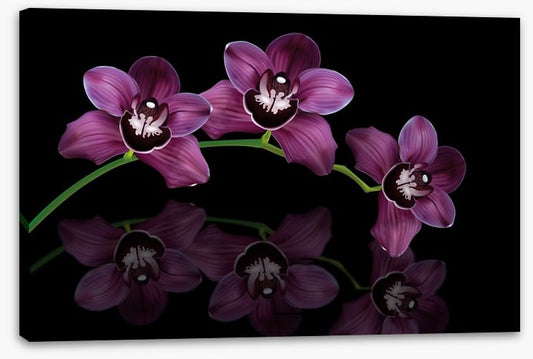 Purple orchid arc