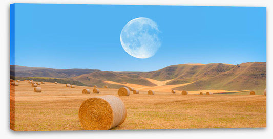 Harvest moon
