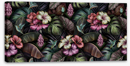 Bromeliad blooms