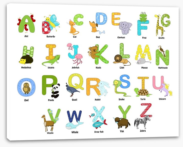 Animal alphabet