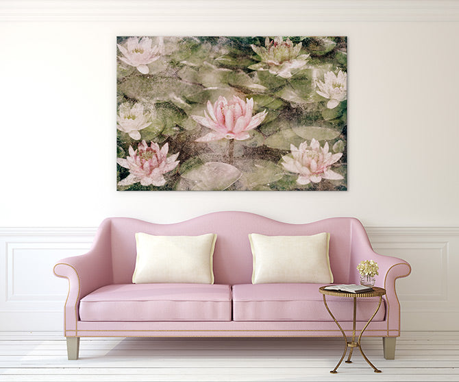 Water Lily dreams