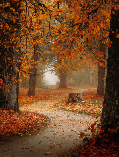 Winding through autumn