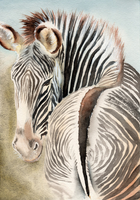 Behind the zebra