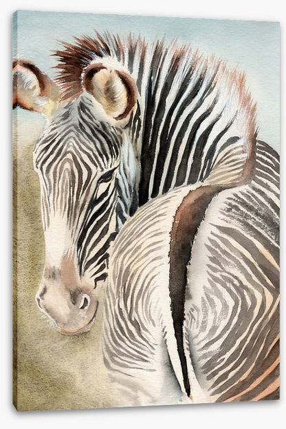 Behind the zebra