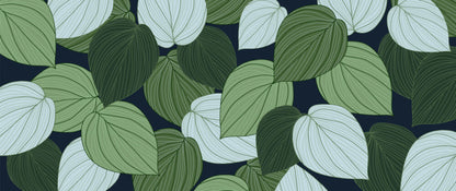 Forever in green leaves