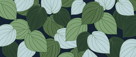 Forever in green leaves