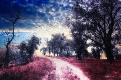 The road to nowhere