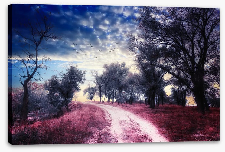 The road to nowhere
