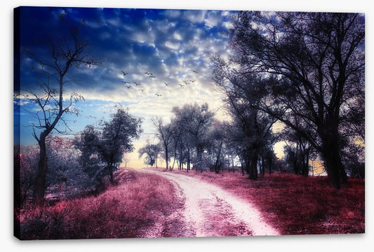 The road to nowhere