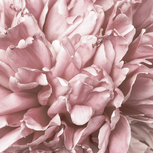 As fragile as love
