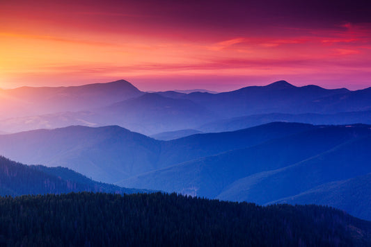 In the dying light
