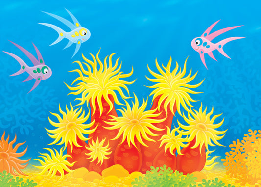 Under The Sea